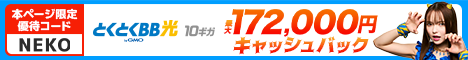 GMOとくとくBB光最大10ギガの当サイト特別キャンペーンは6ヵ月間月額料金0円